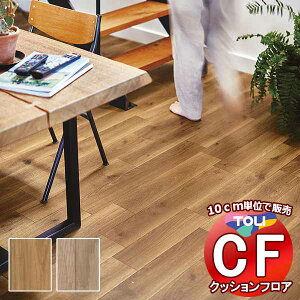 V[g  NbVtAV[g bNXsvAՌzAARہARECXAhJrAƊ CFV[g-P NW CF3707`CF3708(10cm)1mȏ10cmPʂŔ̔