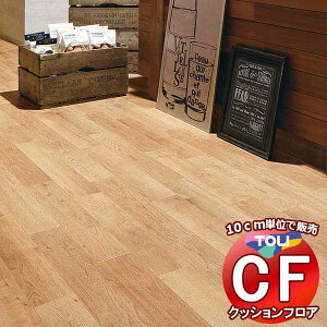V[g  NbVtAV[g bNXsvAՌzAARہARECXAhJrAƊ CFV[g-P NW CF3722(10cm)1mȏ10cmPʂŔ̔