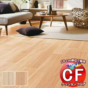 V[g  NbVtAV[g bNXsvAՌzAARہARECXAhJrAƊ CFV[g-P NW CF3723`CF3724(10cm)1mȏ10cmPʂŔ̔