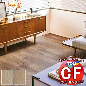 V[g  NbVtAV[g bNXsvAՌzAARہARECXAhJrAƊ CFV[g-P NW CF3726`CF3727(10cm)1mȏ10cmPʂŔ̔