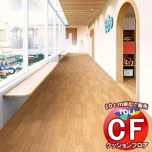 V[g  NbVtAV[g bNXsvAՌzAARہARECXAhJrAƊ CFV[g-P NW CF3733(10cm)1mȏ10cmPʂŔ̔