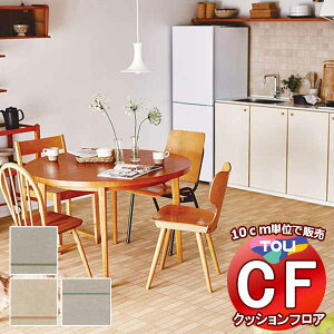 V[g  NbVtAV[g bNXsvAՌzAARہARECXAhJrAƊ CFV[g-P NW CF3743`CF3745(10cm)1mȏ10cmPʂŔ̔