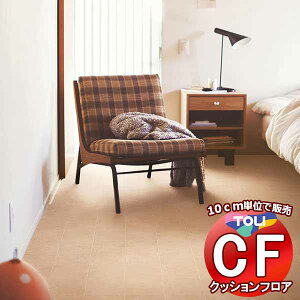 V[g  NbVtAV[g bNXsvAՌzAARہARECXAhJrAƊ CFV[g-P NW CF3762(10cm)1mȏ10cmPʂŔ̔