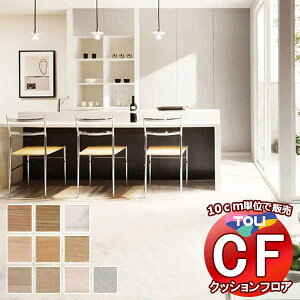 V[g  NbVtAV[g ՌzAARہAhJrAƊ V[gCFV[g-SD CF8501`CF8510(10cm)1mȏ10cmPʂŔ̔