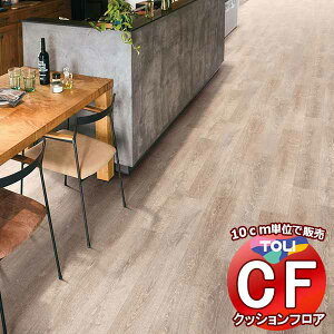 V[g  NbVtAV[g ARہAhJrAƊ V[gCFV[g-H CF9612(10cm)1mȏ10cmPʂŔ̔