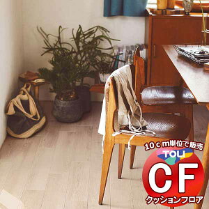 V[g  NbVtAV[g ARہAhJrAƊ V[gCFV[g-H CF9619(10cm)1mȏ10cmPʂŔ̔
