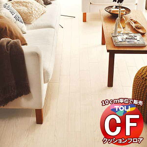 V[g  NbVtAV[g ARہAhJrAƊ V[gCFV[g-H CF9639(10cm)1mȏ10cmPʂŔ̔