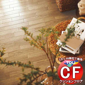 V[g  NbVtAV[g ARہAhJrAƊ V[gCFV[g-H CF9642(10cm)1mȏ10cmPʂŔ̔