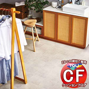 V[g  NbVtAV[g ARہAhJrAƊ V[gCFV[g-H CF9648(10cm)1mȏ10cmPʂŔ̔