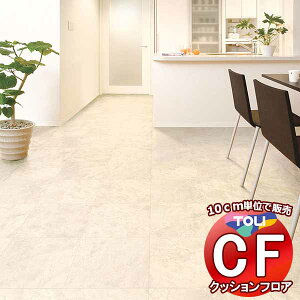 V[g  NbVtAV[g ARہAhJrAƊ V[gCFV[g-H CF9659(10cm)1mȏ10cmPʂŔ̔