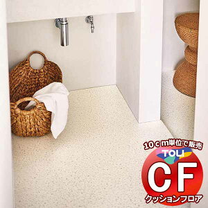 V[g  NbVtAV[g ARہAhJrAƊ V[gCFV[g-H CF9679(10cm)1mȏ10cmPʂŔ̔