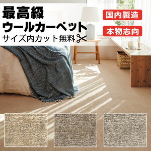 【最大ポイント28倍+クーポン】カーペット 高級 通販 サイズ内カット無料 離島以外 送料無料 アスワン アスケーブル:CBL ラグマット(横200×縦300cm)オーバーロック加工品