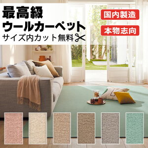 yőN[|{|CgGETzJ[ybg  ʔ 1cm Jbg AX Wall to Wall CARPETI{Ԓ4.5(220×c382cm)I[o[bNHi NWL-11