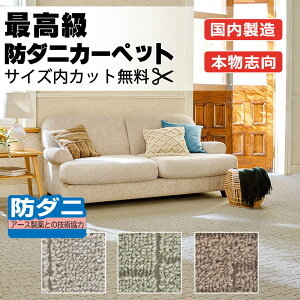 yő|Cg28{{N[|zJ[ybg  ʔ TCYJbg ȊO  AX AXNGXgFQST L~(88×c261cm)؂̃WXgTCY