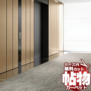 J[ybg ʔ TCY Jbg TQcJ[ybg TXg[II RMR ]ˊ4.5(261×c261cm)bNHi