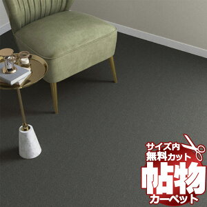  J[ybg ʔ Jbg VR[ J[ybg }bg SG-6045(VO}) {Ԓ4(191×c382cm)؂̃WXgTCY