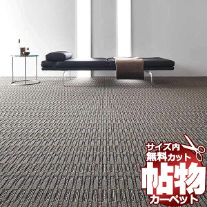 J[ybg  ʔ 1cm Jbg  J[ybg fBCAIII DE5241 4.5(273×c273cm)؂̃WXgTCY