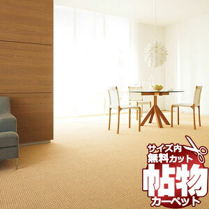 J[ybg  ʔ 1cm Jbg  J[ybg ZOG SJ8206 O }bg(240×c240cm)؂̃WXgTCY