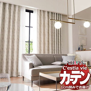 I[_[ J[e AX ZB C2003`2004 nCO[hD 1.5{q_ 300×180cm