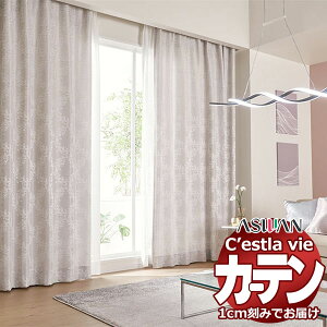 I[_[ J[e AX ZB C2009`2011 oD `Ԉ 2{q_ 300×200cm