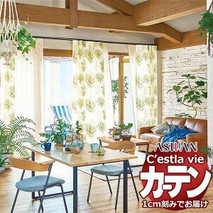 I[_[ J[e AX ZB C2093`2094 nCO[hD 2{q_ 375×260cm