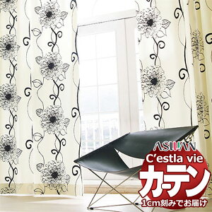 I[_[ J[e AX ZB C2096 nCO[hD 1.5{q_ 600×160cm