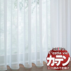 I[_[ J[e AX ZB C2193L EFCge[vD 1.5{q_ 333×281cm