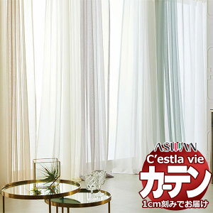 I[_[ J[e AX ZB C2194`2198 tbgD 1{q_Ȃ 564×240cm