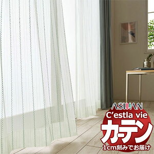 I[_[ J[e AX ZB C2201`2202 tbgD 1{q_Ȃ 564×180cm