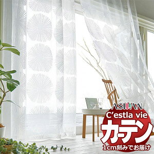 I[_[ J[e AX ZB C2204 tbgD 1{q_Ȃ 414×180cm