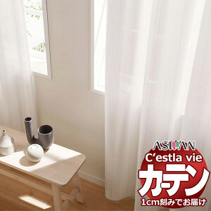 I[_[ J[e AX ZB C2209 nCO[hD 2{q_ 375×200cm