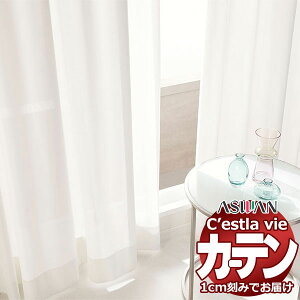 I[_[ J[e AX ZB C2210 tbgD 1{q_Ȃ 564×300cm