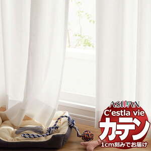 I[_[ J[e AX ZB C2213 nCO[hD 1.5{q_ 500×240cm