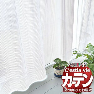 I[_[ J[e AX ZB C2215 nCO[hD 2{q_ 300×120cm