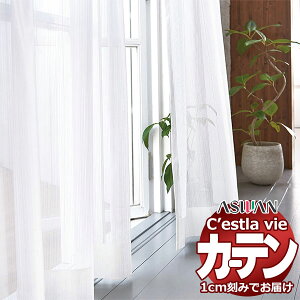 I[_[ J[e AX ZB C2216 nCO[hD 1.5{q_ 600×280cm