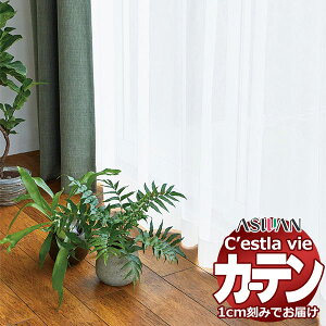 I[_[ J[e AX ZB C2218 nCO[hD 1.5{q_ 402×240cm