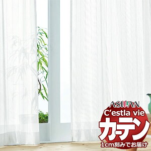 I[_[ J[e AX ZB C2219 nCO[hD 1.5{q_ 500×220cm