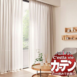 I[_[ J[e AX ZB C2225 EFCge[vD 2{q_ 150×281cm