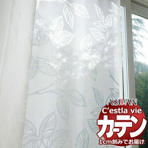 I[_[ J[e AX ZB C2230 tbgD 1{q_Ȃ 860×280cm