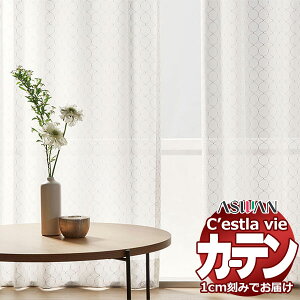 I[_[ J[e AX ZB C2232 nCO[hD 1.5{q_ 300×280cm