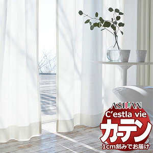 I[_[ J[e AX ZB C2239 nCO[hD 2{q_ 450×240cm