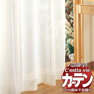 I[_[ J[e AX ZB C2240 tbgD 1{q_Ȃ 860×300cm