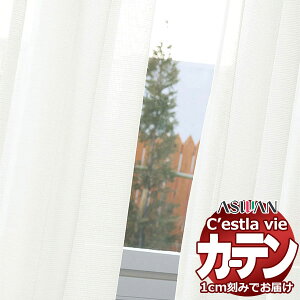 I[_[ J[e AX ZB C2242 nCO[hD 1.5{q_ 400×280cm