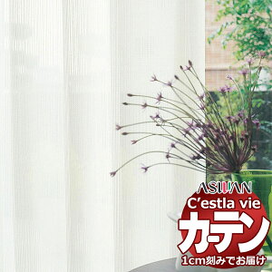 I[_[ J[e AX ZB C2244 nCO[hD 1.5{q_ 333×240cm