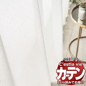 I[_[ J[e AX ZB C2248 tbgD 1{q_Ȃ 860×100cm