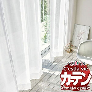 I[_[ J[e AX ZB C2251 tbgD 1{q_Ȃ 564×180cm