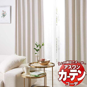 �J�[�e�����V�F�[�h �A�X���� �R�[�f �h���[�v / Drape S1029�`S1035 �n�C�O���[�h�D�� ��1.5�{ ���������Z�b�g�v���� ��400x����160cm�܂�