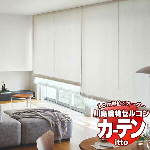 �쓇�D���Z���R�� �I�[�_�[�J�[�e�� itto plain / drapery / TT9047-9053 �X�^���_�[�h ��2�{�q�_ ��224x����260cm�܂�