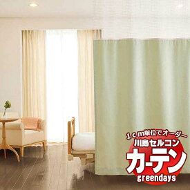 コントラクトカーテン 川島織物セルコン グリーンデイズ ネットプラス プリーツテープ仕様 + ネオネット65 約1倍ヒダ GD1375〜1380 プリローダ ネットプラスカーテン 幅200×高さ261cm迄