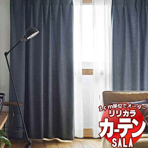 �J�[�e�� �V�F�[�h �����J�� SALA Natural Casual LS-63216�`63219 ���M�����[�D�� ��2�{�q�_ ��300x����240cm�܂�
